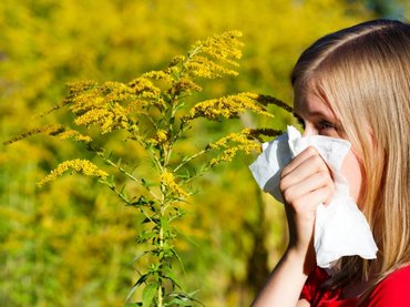 Már csak pár napja maradt annak, akinek kertes háza, telke van