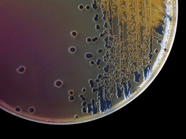 Nyári fertőzéshullám tarolhat Magyarországon: már most sok a beteg