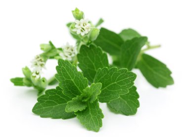 Rákpusztító szupererővel bír ez az ősi brazil növény