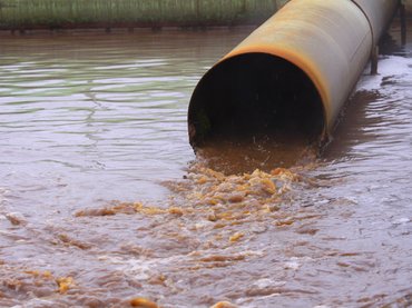 Gyilkos baktériumok tobzódnak a Dunában