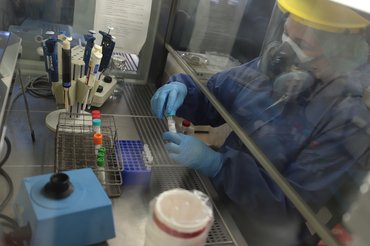 Az SZTE és a PTE együtt kutatja a Covid-19 genetikáját