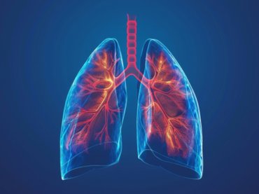 Elvégezték itthon az első gyermek-tüdőátültetést