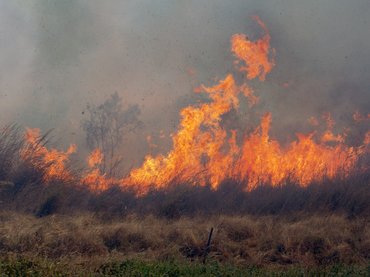 Több száz hektáron gyújtogatnak ismeretlenek
