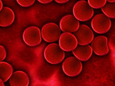 Már Veszprémben is lehet vérplazmát adni