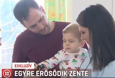 Erősödött és mozgékonyabb lett Zente a kezelés után